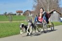 Filename=DSC_9865-1.jpg
Filesize=138KiB
Dimensions=1024x682
Date added=Apr 05, 2018 DSC_9865-1.jpg