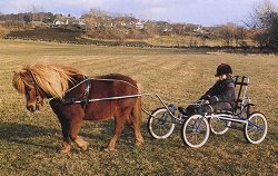 Sacco Ponywagen