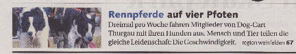 Tagesanzeiger Artikel 26. Februar 2011